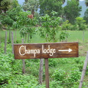 Champa Cambodia, The charm of Champa Cambodia