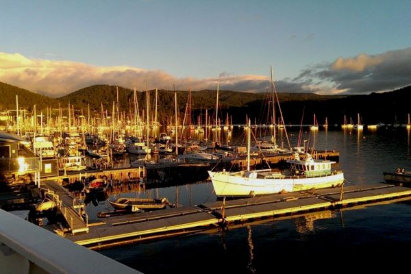 kettering marina bruny island safari