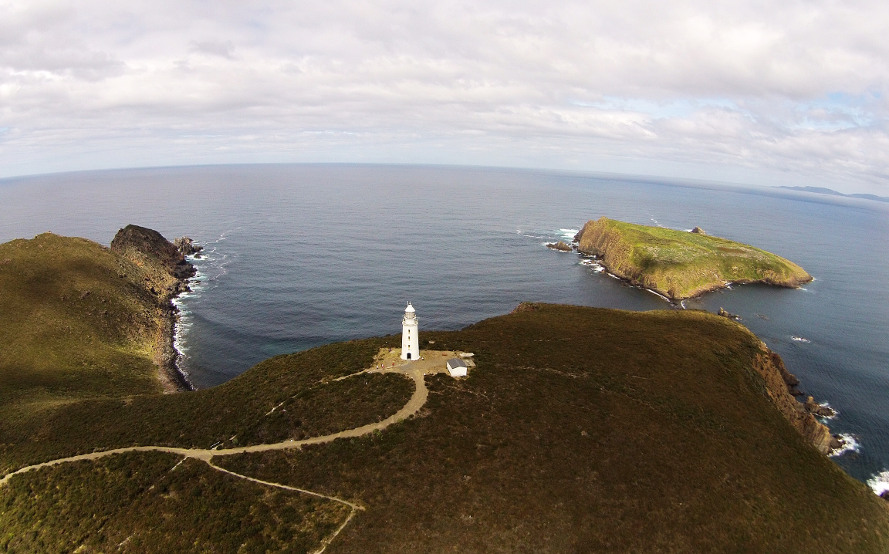 Bruny island Tasmania, 53 : Arriving on Bruny Island Tasmania looking for Wildlife