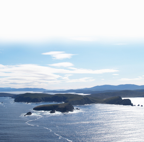 Bruny island Tasmania, 53 : Arriving on Bruny Island Tasmania looking for Wildlife