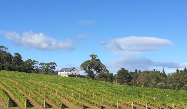 Premium Wines, 56 : Bruny Island Premium Wines