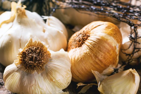 New Zealand Organic garlic Gourmet foodie tour