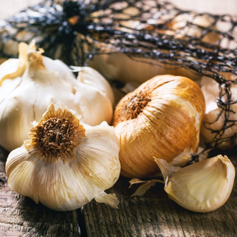 New Zealand Organic garlic Gourmet foodie tour