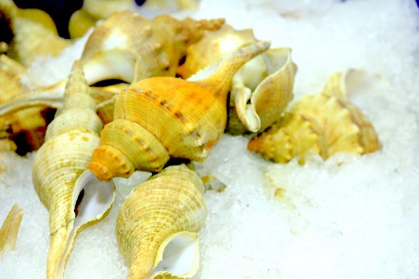 Sydney Fish Market, Shellfish for Restaurants