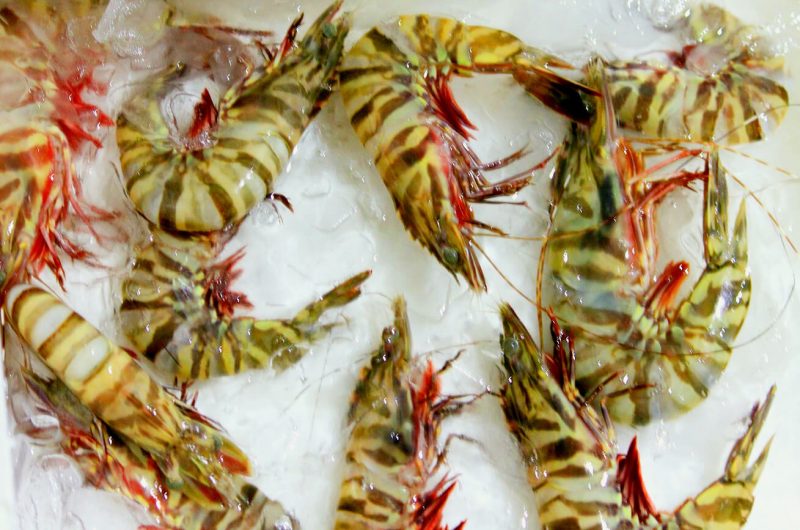Sydney Fish Market Prawns for an authentic barbecue
